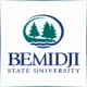 Bemidji State University - Mathematics School Ranking