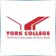 CUNY York College - Mathematics School Ranking