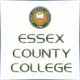 Essex County College - Mathematics School Ranking