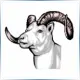 Little Big Horn College - Mathematics School Ranking