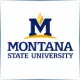 Montana State University - Mathematics School Ranking