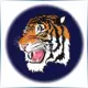 Paul Quinn College - Mathematics School Ranking