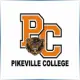 University of Pikeville - Mathematics School Ranking