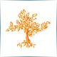 Pitzer College - Mathematics School Ranking