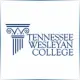 Tennessee Wesleyan College - Mathematics School Ranking