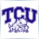 Texas Christian University - Mathematics School Ranking