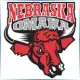 University of Nebraska at Omaha - Mathematics School Ranking