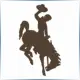 University of Wyoming - Mathematics School Ranking